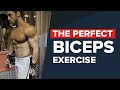 The perfect biceps exercise