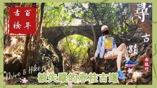 【蝦姐・揸車去行山】🚜尋找消失的古道⛰詳細說明💯欣賞過百年古橋\u0026三角水口🌻最新打卡點｜香港古蹟｜ 路線分享｜ 自駕行山｜VLOG 9