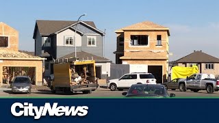 Keeping Alberta affordable: calls to address housing shortage