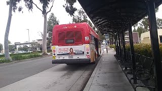 (NO HVAC) 2009 Long Beach Transit New Flyer GE40LFA 2915