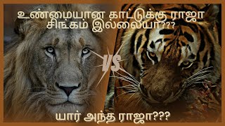 | 🦁சிங்கம் காட்டு௧்கு ராஜா ௧ிடையாதா? |உண்மையான ராஜா யார்👑| True king of forest explain in tamil|