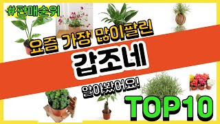 갑조네 추천 판매순위 Top10 || 가격 평점 후기 비교0 갑조네 동영상