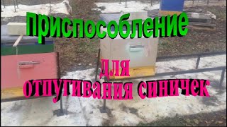 Приспособление для отпугивания синичек на пасеке