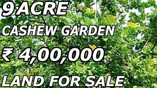 9 ACRE CASHEW GARDEN FOR SALE | PER ACRE ₹ 4,00,000 | RED SOIL PROPERTY SALE | PROPERTY PROMOTION TV