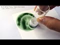 moss park green autumn in ontario collection ferris wheel press fountain pen ink review