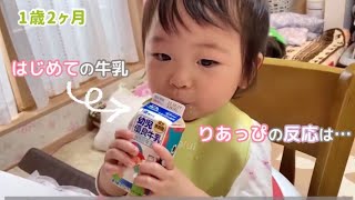 【1歳2ヶ月】初めて牛乳をあげたら怒られました😓【りあっぴ 成長記録】