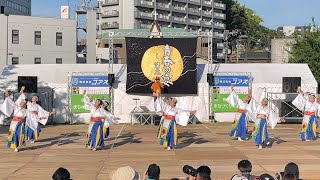 ［4K］向日葵『太陽』（披露演舞）黒崎よさこい祭り2024.05.18メイン会場