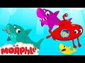 Baby Shark | Fun Animal Cartoons | @MorphleTV  | Learning for Kids