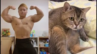 猫に筋肉を見せてみた！