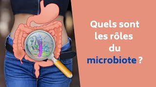 Les rôles du microbiote