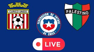 Assistir Curico Unido x Palestino ao vivo/Campeonato Chileno 2023/Com imagens e narração