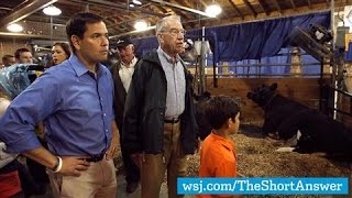 Rubio Power Walks, Avoids Trump Talk at Iowa Fair