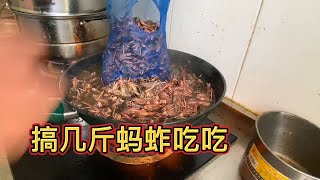 高蛋白！搞几斤蚂蚱吃吃，这玩意比牛肉带劲！