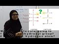 chapter 1 molecule of life lipid 2.0 triglyceride