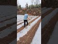 creative farming tools satisfying shortsvideo