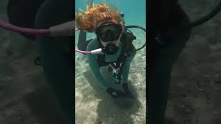 How to Scuba Dive at Blue Heron Bridge | In 60 seconds