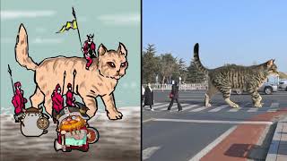 Cat Memes: Funny Videos With Cats And Dogs 🐶😻 Cute Cats Funny Videos | Memes ART