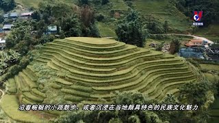 沙坝和芹苴跻身亚洲秋季最佳旅游目的地名单