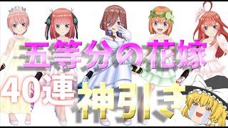 【白猫テニス】五等分の花嫁コラボ40連で神引きした！！【ゆっくり実況】