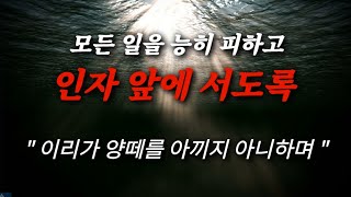 자막+음성[🔊엔타임🧭계시묵상] 🚩모든 일을 능히 피하고 인자 앞에 서도록  ✨️머지않아 이리가 양떼를 아끼지 아니하는 때가 이르리라🚩