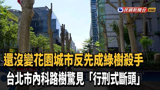 內科路樹遭「行刑式斷頭」公園處揭修剪SOP－民視新聞