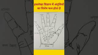 हस्तरेखा विज्ञान में अंगुलियों का क्या विशेष महत्व होता है । #shorts #hastrekha #palmistry