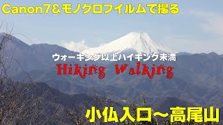 【ウォーキング以上ハイキング未満】ハイキングウォーキング【Canon7と高尾山】