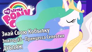 Знай Свою Кобылку #5 - Принцесса Селестия [ДУБЛЯЖ]