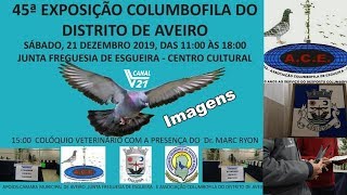 Columbofilia / 45ª Exposição (ACDAveiro) / Esgueira 2019 Exposição / VL21