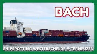 Container Ship BACH on the Western Scheldt @ Terneuzen