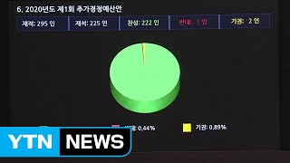 11조 7천억 원 코로나19 추경안 본회의 통과 / YTN