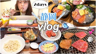 【vlog】静岡で美味しいもの食べて冬眠に備えた2日間🐟✨🍣