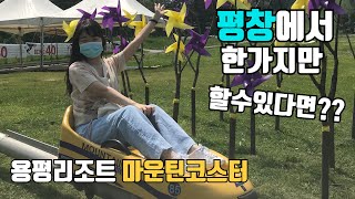 강원도 평창여행 용평리조트 마운틴코스터 \u0026 루지