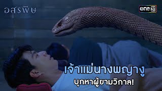 เจ้าแม่นางพญางูบุกหาผู้ยามวิกาล! | HIGHLIGHT อสรพิษ EP.13 | 2 เม.ย. 67  | one31