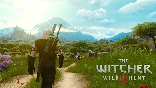 The Witcher 3 Next Gen - Peaceful Walk in Toussaint | Music & Ambience