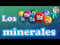 Los minerales