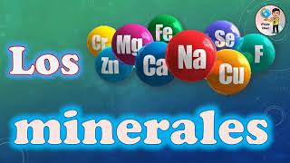 Los minerales