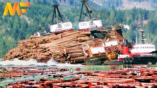 Amazing Log Barge Dumping | Poplar Tree Farming \u0026 Poplar Plywood Processing Factory | Modern Farm➤66