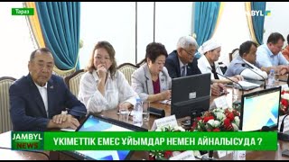 Үкіметтік емес ұйымдар немен айналысуда ?