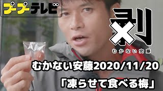 むかない安藤4K60P「凍らせて食べる梅」（10秒動画）