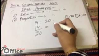 09 Data organization and Data analysis