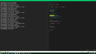 Ncurses Tutorial 10 - Input Modes