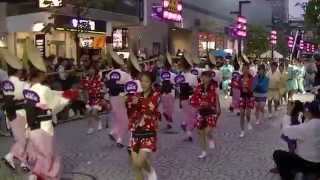 47th Mitaka Awa Dance Festival-01-三鷹阿波踊り-みたか銀座連