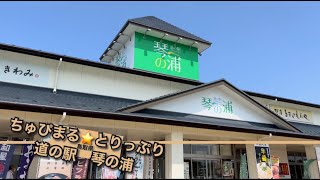 【4K 鳥取県・道の駅 琴の浦】50代夫婦の旅•新鮮な魚介類を満喫