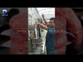 2022 new hamburger meat patty making machine automatic burger forming machine meat processing