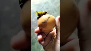 ଏହା କେଉଁ ଫଳ???#youtubeshorts #shorts #food #viral #fruit