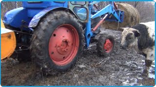 В ФЕРМЕРСКОМ ХОЗЯЙСТВЕ ПО ДРУГОМУ НИКАК МЕСИМ ГРЯЗЬ НА УЧАСТКЕ, ЖИЗНЬ В ДЕРЕВНЕ