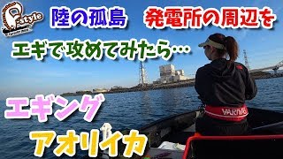 陸の孤島！発電所の周辺をエギで攻めてみたら…