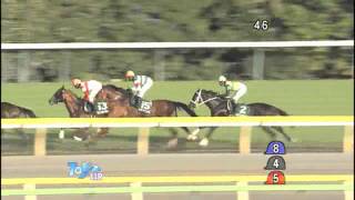 第15回富士ステークス(ＧⅢ)東京2012年4回6日11R（10月20日）