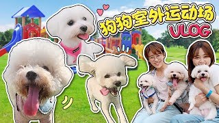 Super outdoor dog playground vlog  | Xiaoling toys